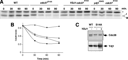 FIG. 6.