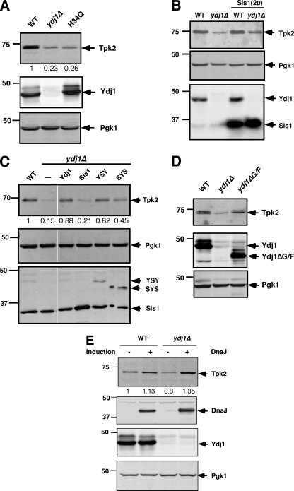 FIG. 7.