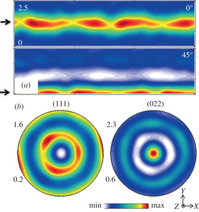 Figure 10.