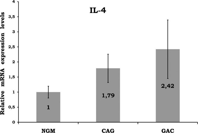 FIGURE 3