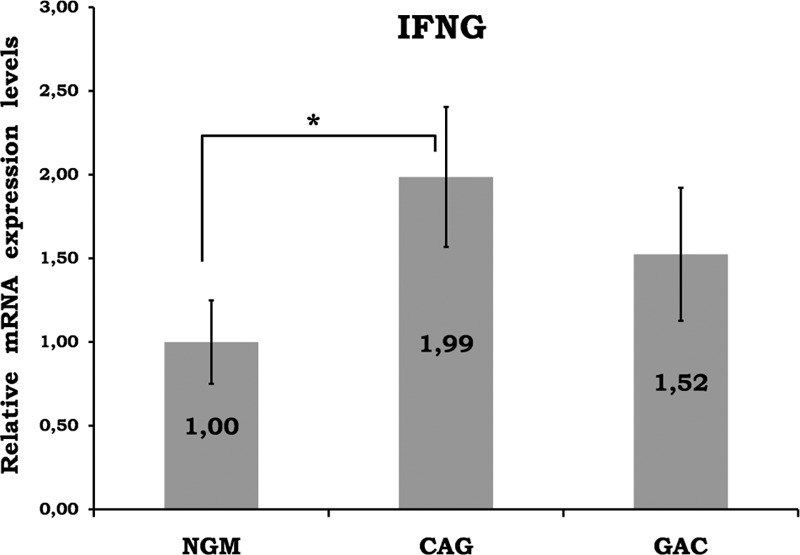 FIGURE 1