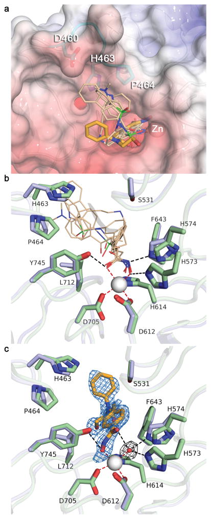 Fig. 5