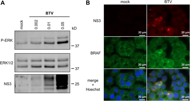 FIG 4