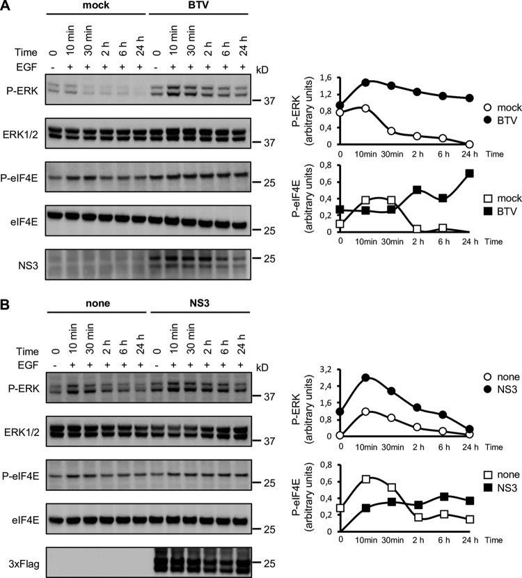 FIG 3