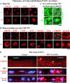 <b>Figure 3.</b>