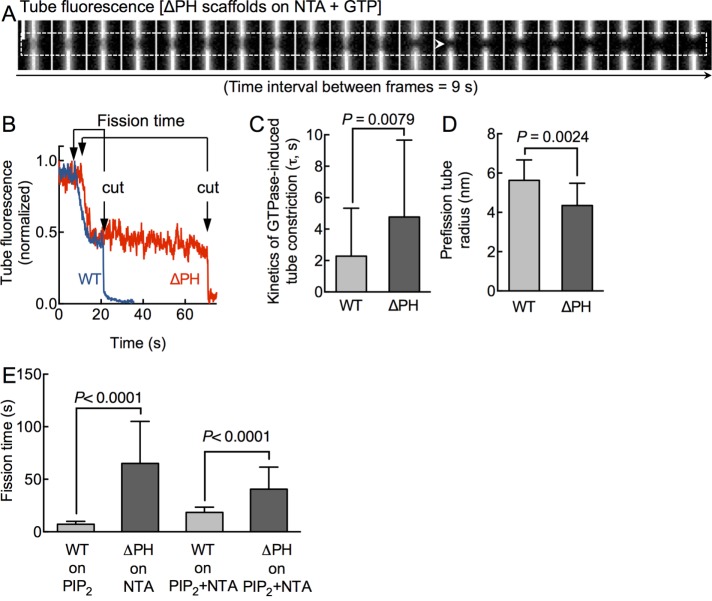 FIGURE 3: