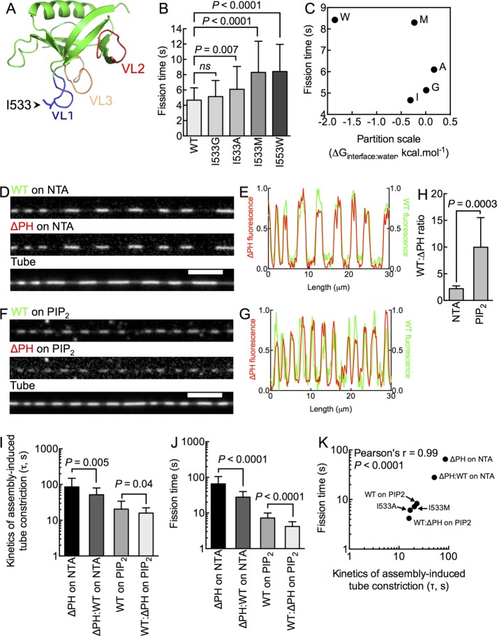 FIGURE 5: