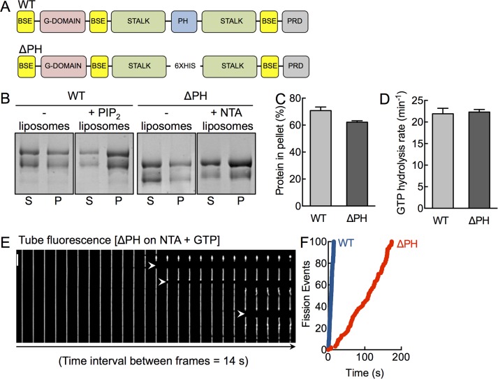 FIGURE 1: