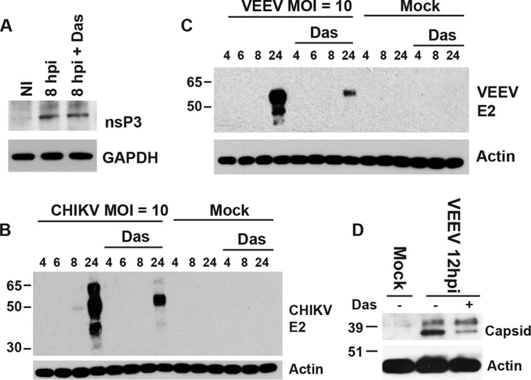 FIG 6