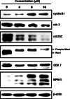 Fig. 3