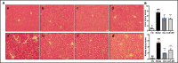 Figure 6—figure supplement 1.
