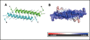 Figure 2—figure supplement 3.