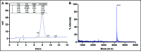 Figure 2—figure supplement 1.