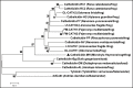 Figure 1—figure supplement 1.