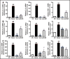 Figure 6—figure supplement 2.