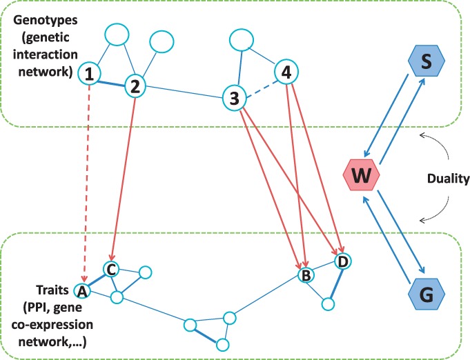 Fig. 1.