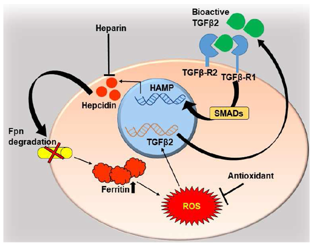 Fig 3.