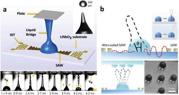 Figure 15