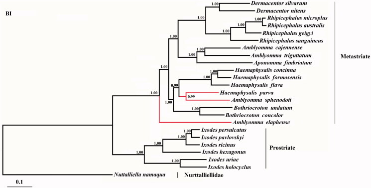 Figure 1.