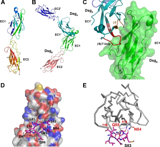 FIGURE 1.