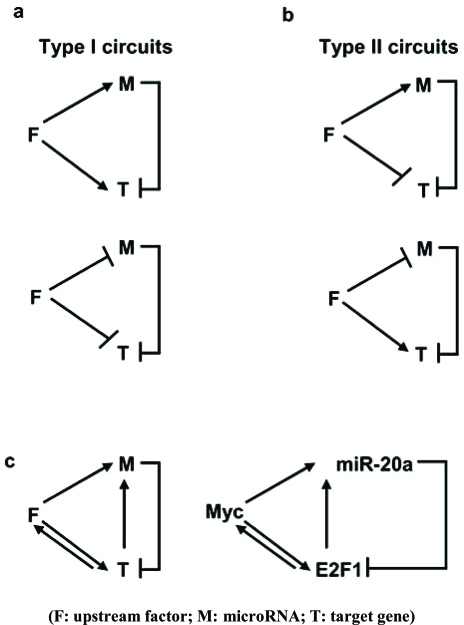 Fig. (1)