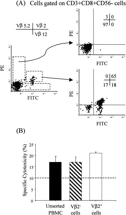 FIG. 5.