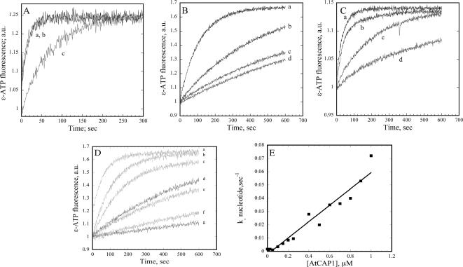 Figure 7.