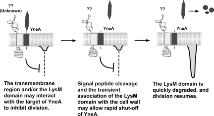 FIG. 8.