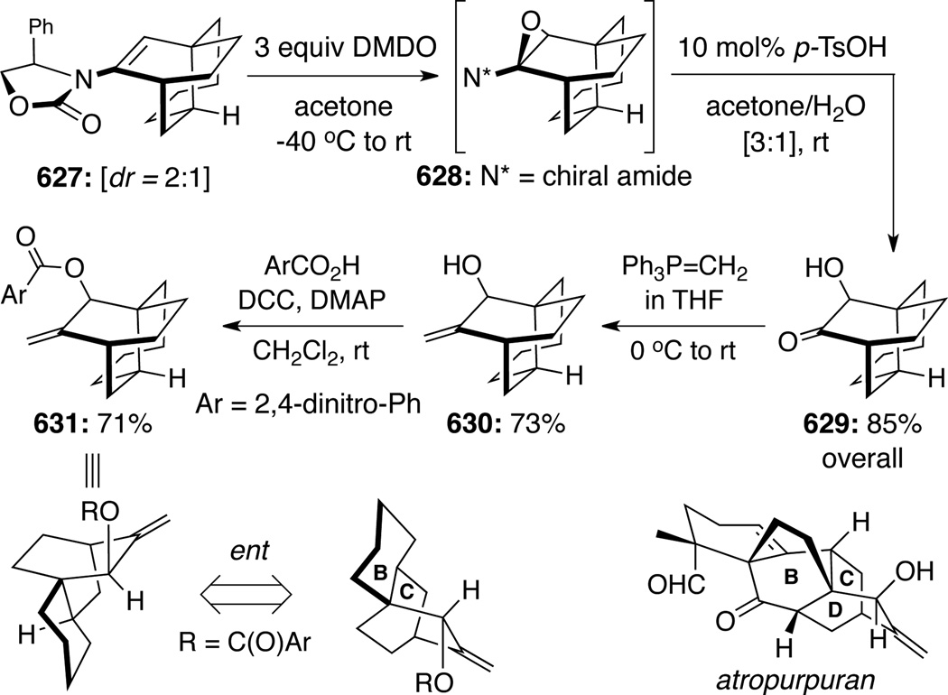 Scheme 170