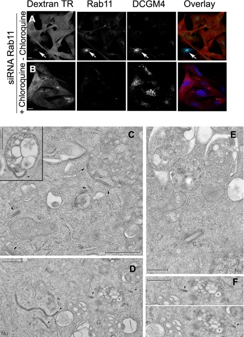 Figure 6.