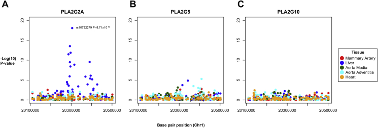 Figure 2