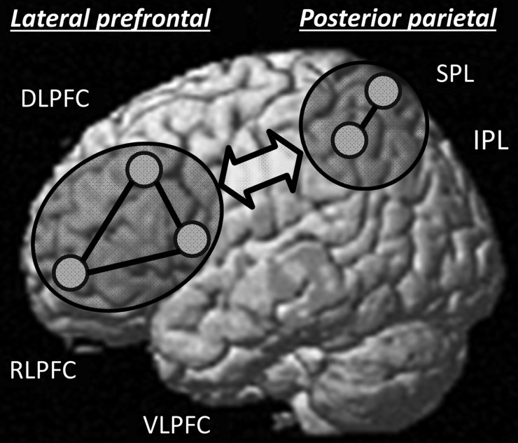 Figure 1.