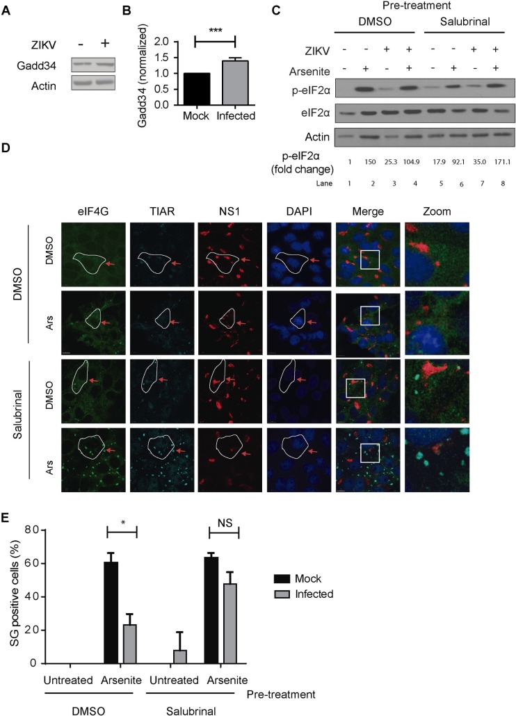 Fig 6