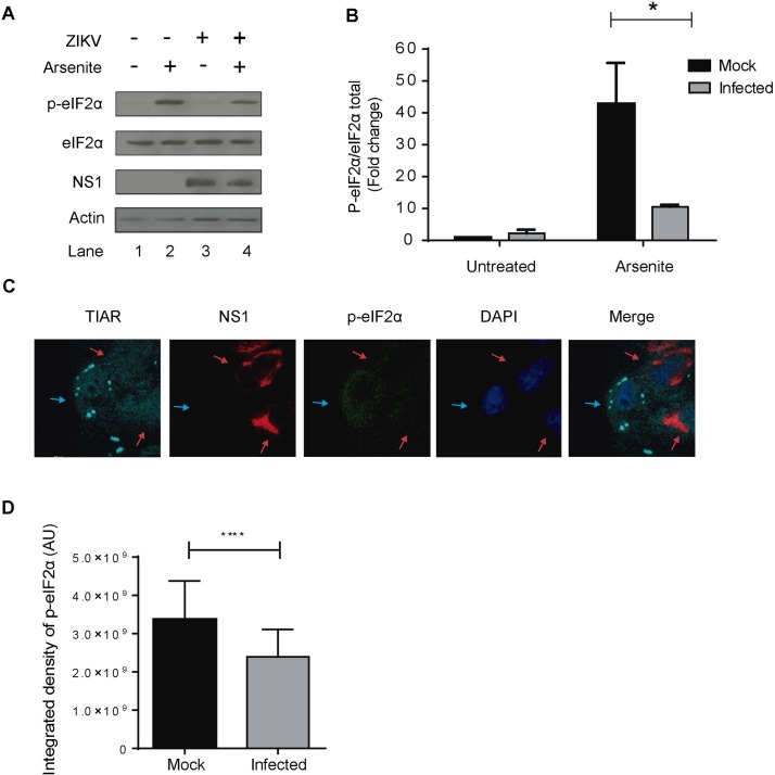 Fig 4