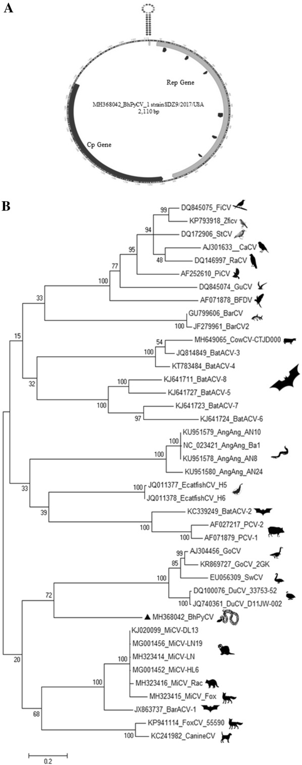 Figure 1