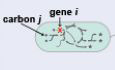 graphic file with name MSB-19-e11566-g007.jpg
