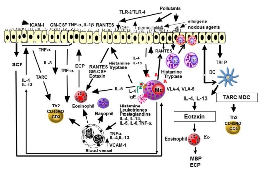 Fig. 2