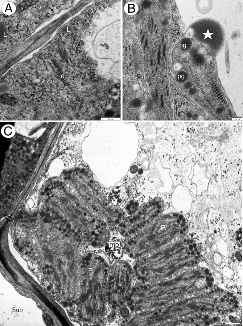 Fig. 7