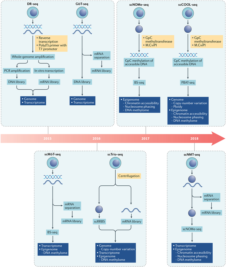 Fig. 2 |