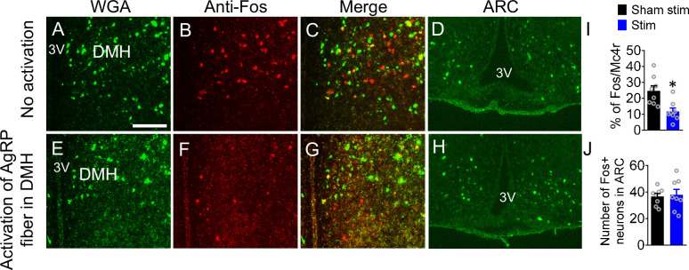 Figure 4—figure supplement 1.