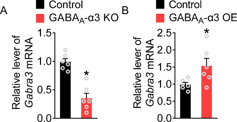 Figure 5—figure supplement 1.