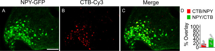 Figure 2—figure supplement 2.