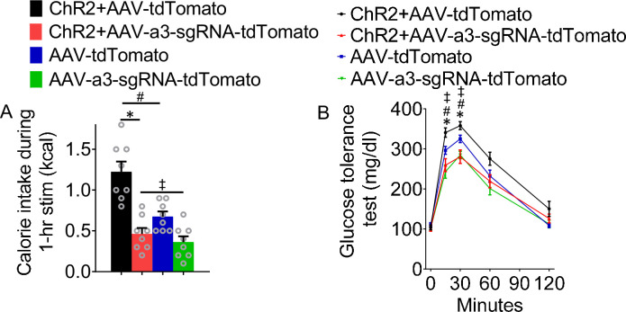 Figure 5—figure supplement 2.