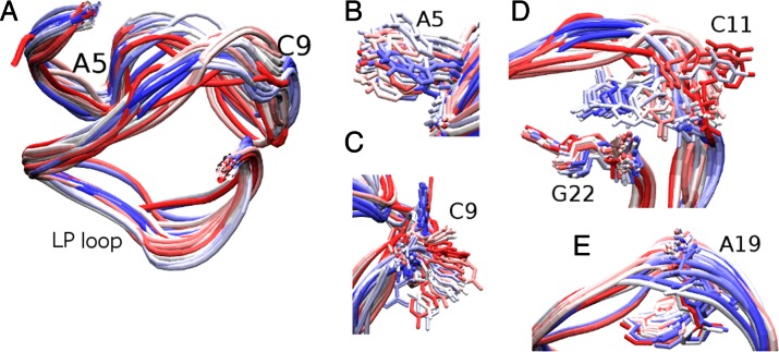 Figure 5.