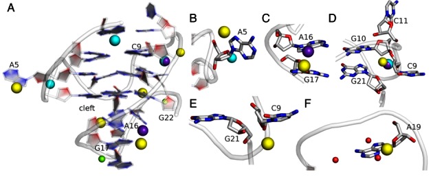 Figure 6.