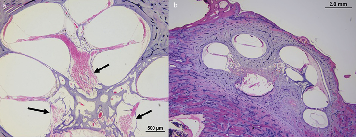 Figure 4. a, b