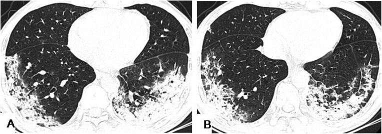 Fig. 5