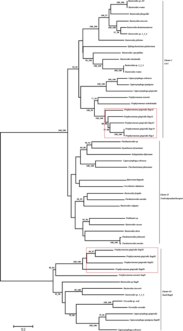 Fig. 2