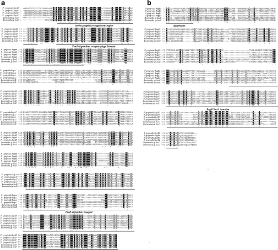 Fig. 3a, b