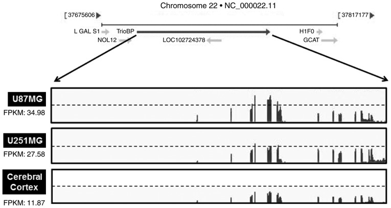 Figure 3.